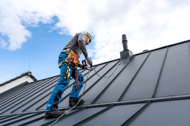 Best Skylight Installation and Repair  in South Barrington, IL